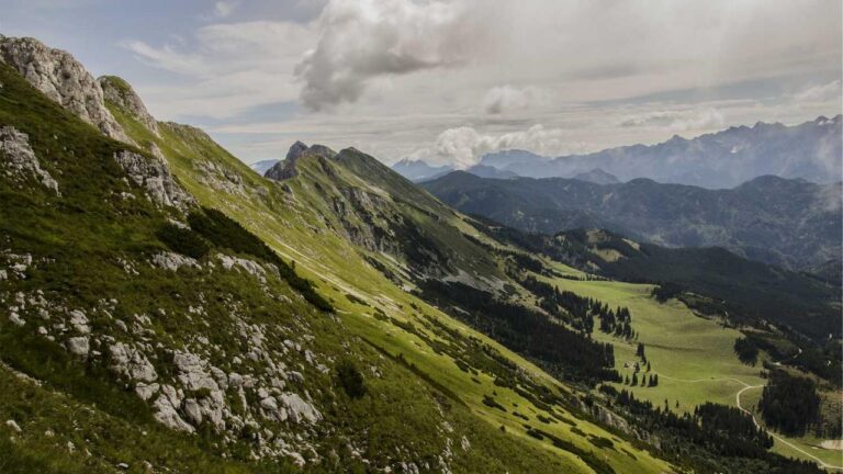 How To Confirm The 99Exch Original Website?